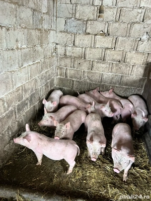 De vanzare - imagine 5