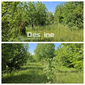 Tomesti-Chicerea, teren intravilan  3523 mp