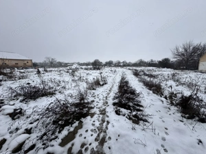 Teren Intravilan Becicherecu Mic 3200mp,F.S 40ml la DN6,Utilitati - imagine 3