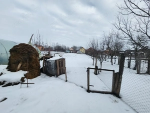 Comision zero vând casa nouă la Biled - imagine 6