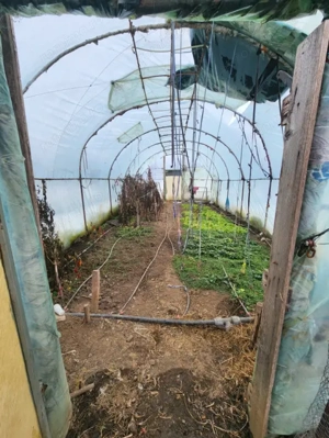 Comision zero vând casa nouă la Biled - imagine 7