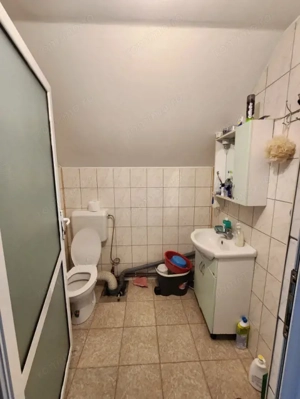 Comision zero vând casa nouă la Biled - imagine 17