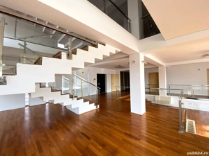 Imobil 650 mp + 3000 mp teren - imagine 6