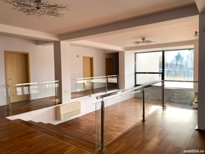 Imobil 650 mp + 3000 mp teren - imagine 8