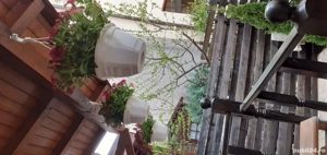 Studio cu grădină zona Apărătorii patriei  - imagine 2