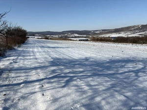 Parcele teren daia - imagine 2