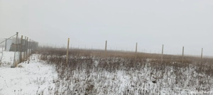 Vand teren extravilan 980 mp Pausa - imagine 5