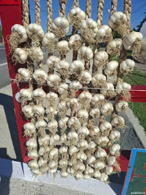 Usturoi castraveți murați de vînzare tel.  - imagine 3