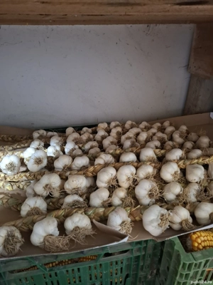 Usturoi castraveți murați de vînzare tel.  - imagine 5