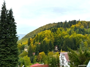 Apartament 2 camere Sinaia, zona Furnica - imagine 8