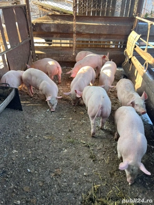 De vânzare  - imagine 4