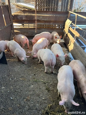 De vânzare  - imagine 3