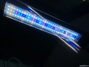 Acvariu DE Sera Biotop Cube XXL 130 cu dotari de top - imagine 3