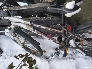 Vand bicicleta adulti