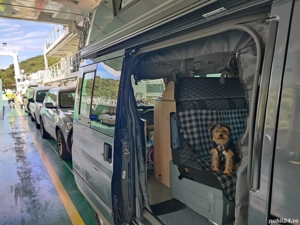 Ford Transit Nugget Westfalia  - imagine 3