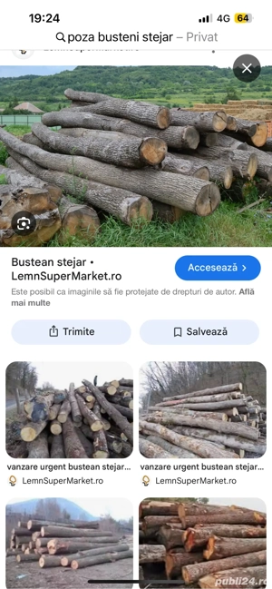 Vand lemn de foc si lemn de lucru, conform APV