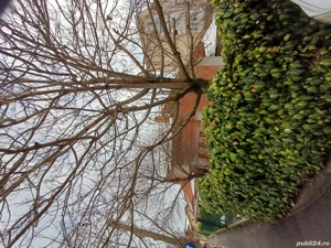 Vand casa P+M la rosu, zona centrala Timisoara - imagine 4