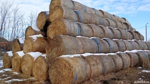 vând sau schimb baloti 