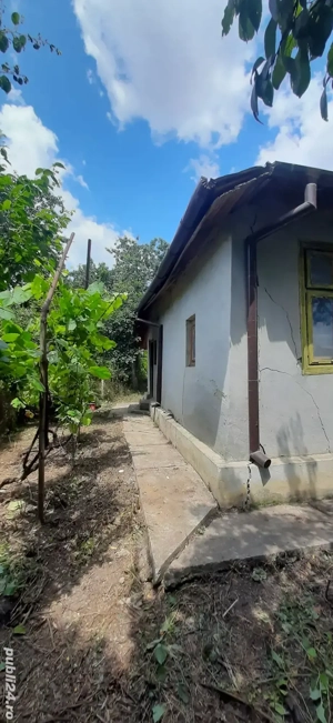 Teren + construcție, deschid. la DN, utilități, Meri, Drăgănești, PH - imagine 4