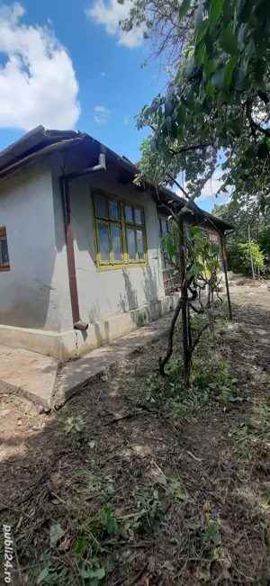 Teren + construcție, deschid. la DN, utilități, Meri, Drăgănești, PH - imagine 5