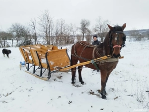 Vand sanie cu minim 6 locuri - imagine 4