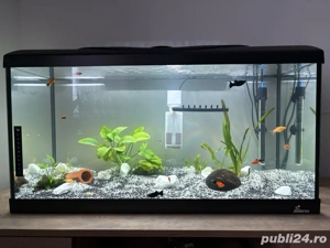 Vand Acvariu de 120 Litri Complect