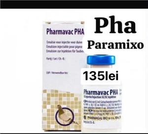 inele Fci 2026 - imagine 2