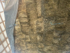 Vând baloți de lucernă  - imagine 2