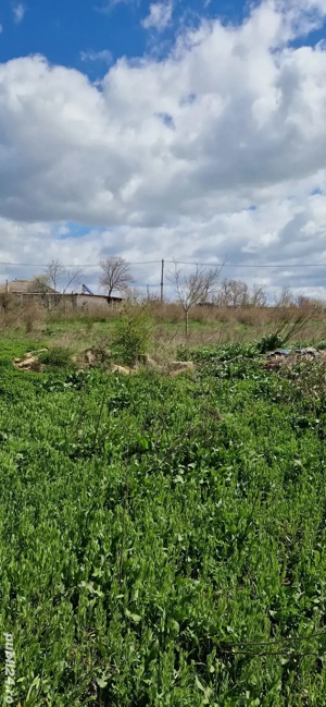     OPORTUNITATE UNICĂ: Teren la 1 minut de Lacul Golovița (Vișina, Jurilovca)