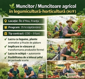 Angajăm urgent cupluri  - imagine 2