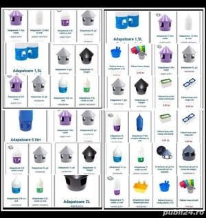 inele 2026  - imagine 5