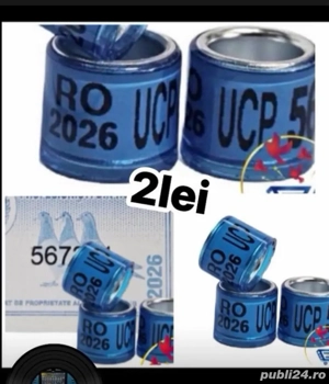 Ucp 2026  2lei  - imagine 5