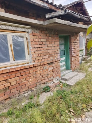 Potigrafu Crivina - imagine 18