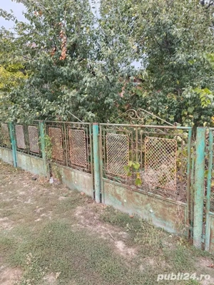 Potigrafu Crivina - imagine 12