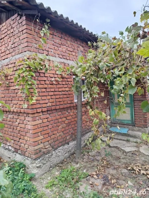 Potigrafu Crivina - imagine 16