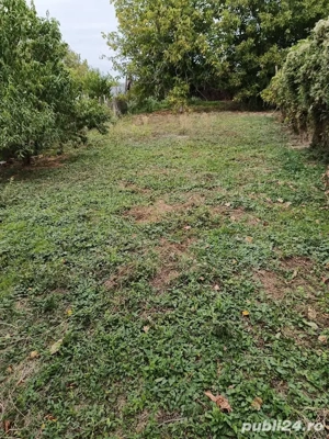 Potigrafu Crivina - imagine 10