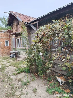 Potigrafu Crivina - imagine 9