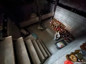 Casă spațioasă în Zervești la 5km de Caransebeș și 20km de Muntele Mic - imagine 8