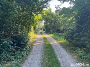 Teren de vanzare Calinesti Arges - imagine 3