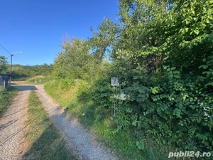 Teren de vanzare Calinesti Arges - imagine 2