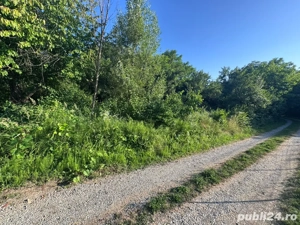 Teren de vanzare Calinesti Arges - imagine 4