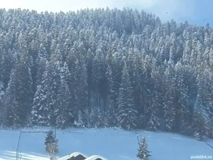 Vând casă la munte în Câmpulung Moldovenesc  - imagine 7