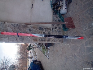 Schiuri Fischer XL 184