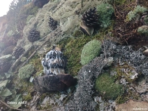 Tablou confectionat manual 