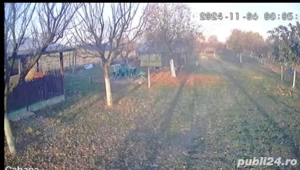 teren Pischia - imagine 5