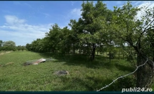 teren Pischia - imagine 3