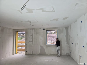 florea misu - imagine 3