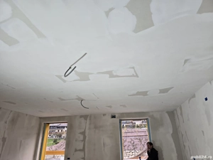 florea misu - imagine 4