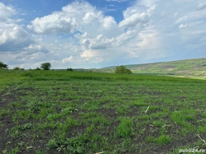 PF Vând teren extravilan - imagine 4