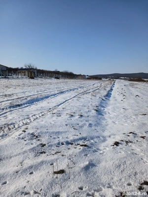 Teren de vânzare în vecinătate cu Daia Nouă - imagine 4